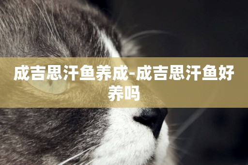 成吉思汗魚養成-成吉思汗魚好養嗎