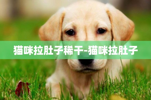 貓咪拉肚子稀干-貓咪拉肚子