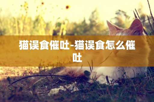 貓誤食催吐-貓誤食怎么催吐