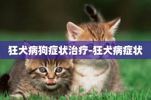 狂犬病狗癥狀治療-狂犬病癥狀
