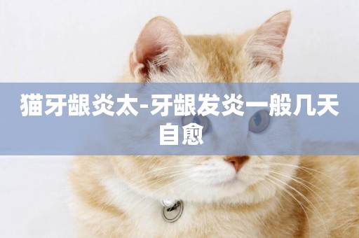貓牙齦炎太-牙齦發炎一般幾天自愈
