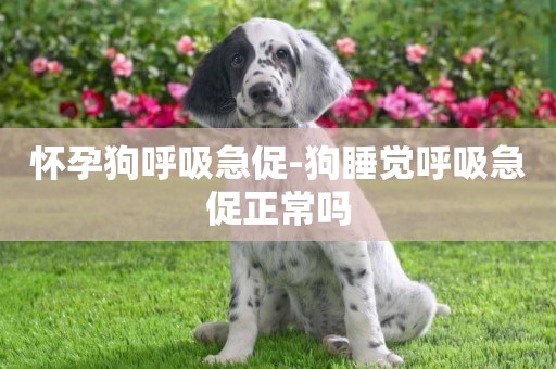 懷孕狗呼吸急促-狗睡覺呼吸急促正常嗎