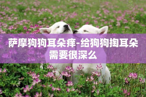 薩摩狗狗耳朵癢-給狗狗掏耳朵需要很深么