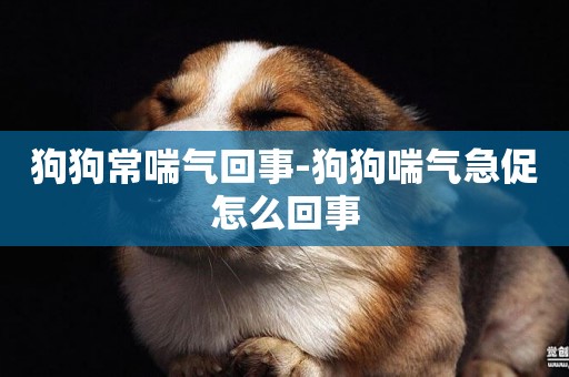 狗狗常喘氣回事-狗狗喘氣急促怎么回事