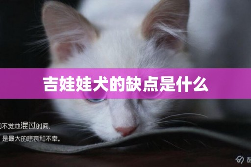 吉娃娃犬的缺點是什么