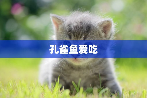 孔雀魚愛吃