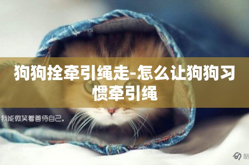 狗狗拴牽引繩走-怎么讓狗狗習慣牽引繩