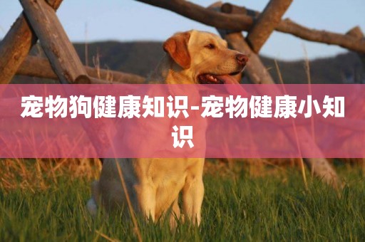 寵物狗健康知識-寵物健康小知識