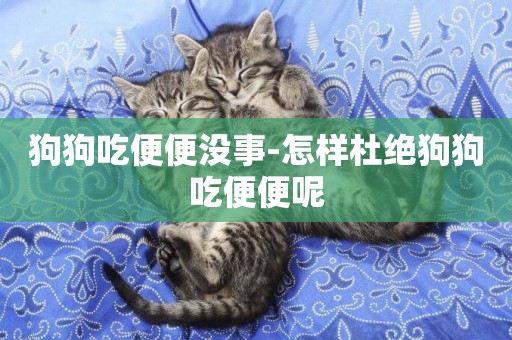 狗狗吃便便沒事-怎樣杜絕狗狗吃便便呢
