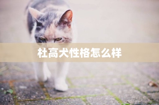 杜高犬性格怎么樣
