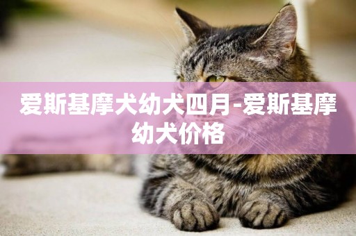 愛斯基摩犬幼犬四月-愛斯基摩幼犬價格
