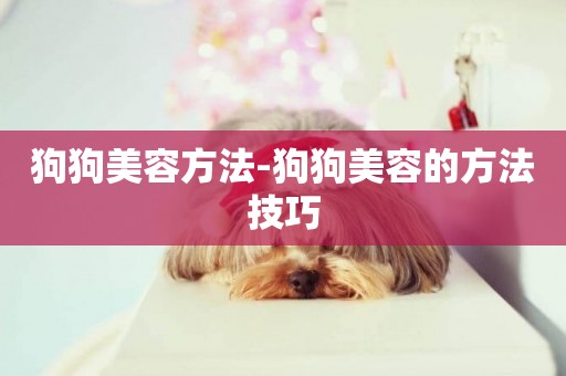 狗狗美容方法-狗狗美容的方法技巧