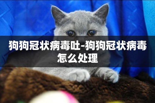 狗狗冠狀病毒吐-狗狗冠狀病毒怎么處理