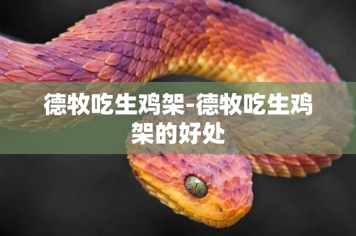 德牧吃生雞架-德牧吃生雞架的好處