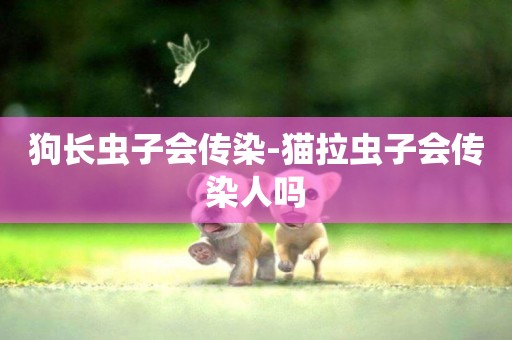 狗長蟲子會傳染-貓拉蟲子會傳染人嗎