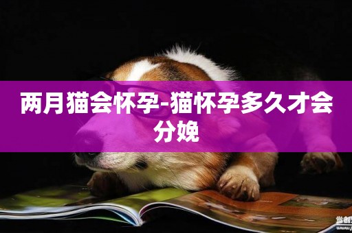 兩月貓會懷孕-貓懷孕多久才會分娩