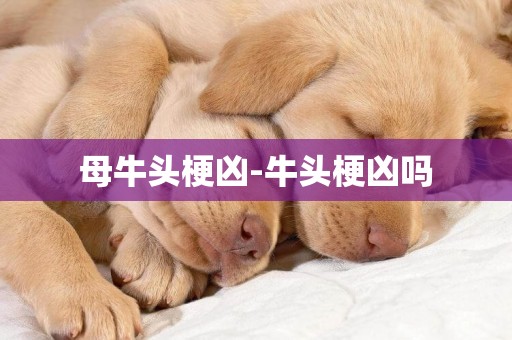 母牛頭梗兇-牛頭梗兇嗎