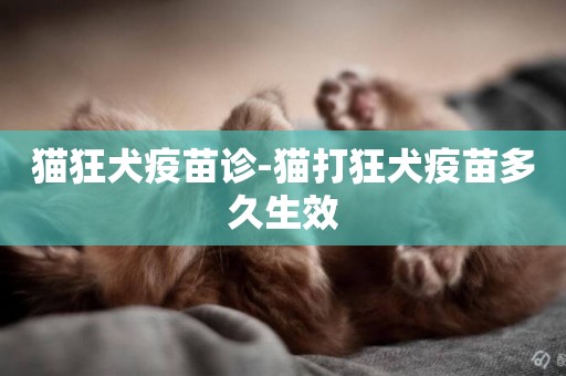 貓狂犬疫苗診-貓打狂犬疫苗多久生效