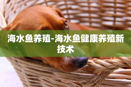 海水魚養殖-海水魚健康養殖新技術