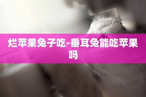 爛蘋果兔子吃-垂耳兔能吃蘋果嗎