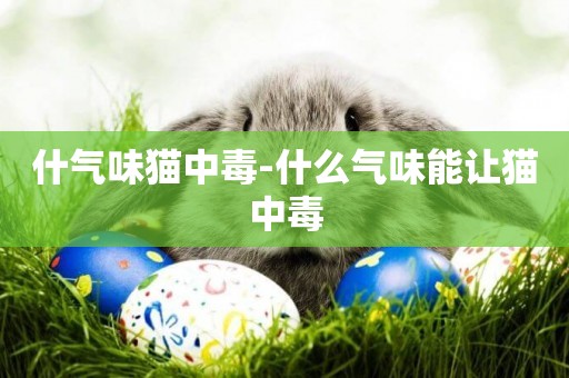 什氣味貓中毒-什么氣味能讓貓中毒