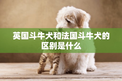 英國斗牛犬和法國斗牛犬的區別是什么