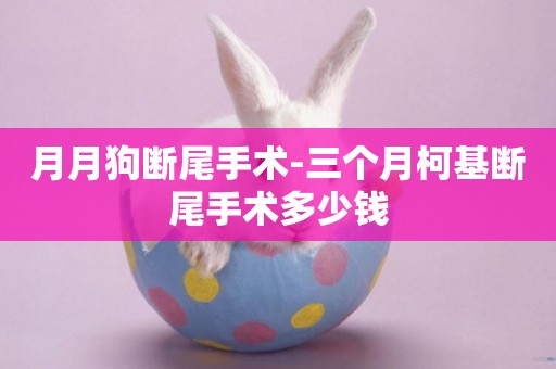 月月狗斷尾手術-三個月柯基斷尾手術多少錢