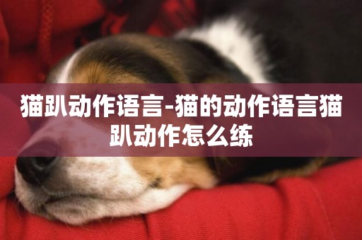 貓趴動作語言-貓的動作語言貓趴動作怎么練