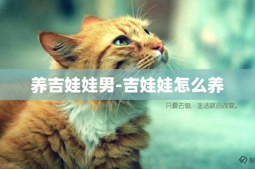 養吉娃娃男-吉娃娃怎么養