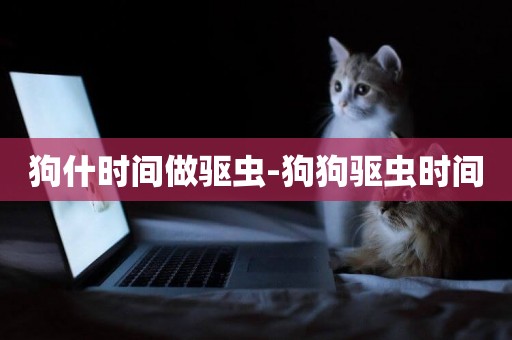 狗什時間做驅蟲-狗狗驅蟲時間