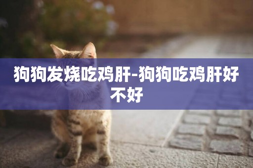 狗狗發燒吃雞肝-狗狗吃雞肝好不好