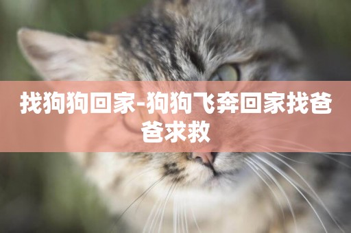 找狗狗回家-狗狗飛奔回家找爸爸求救