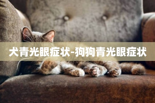 犬青光眼癥狀-狗狗青光眼癥狀