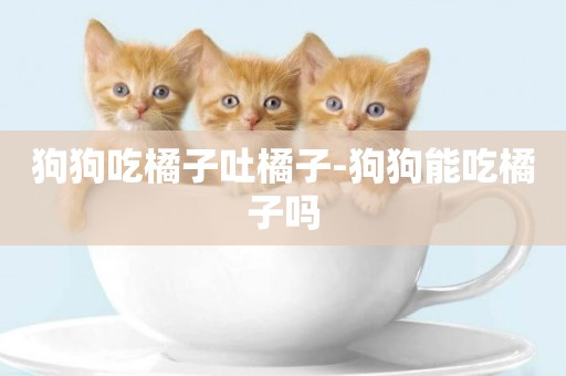 狗狗吃橘子吐橘子-狗狗能吃橘子嗎