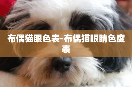 布偶貓眼色表-布偶貓眼睛色度表