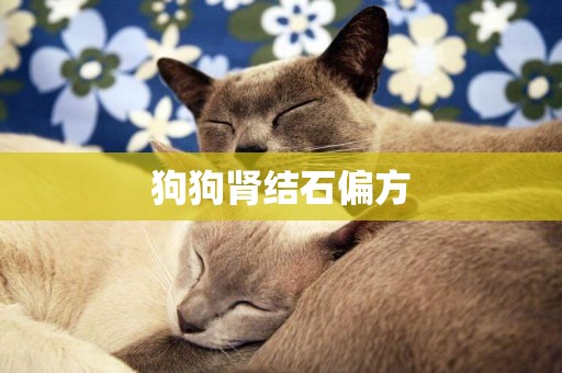 狗狗腎結石偏方