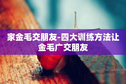家金毛交朋友-四大訓練方法讓金毛廣交朋友