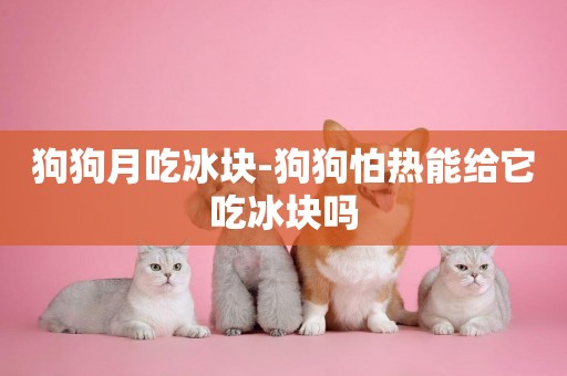 狗狗月吃冰塊-狗狗怕熱能給它吃冰塊嗎
