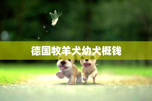 德國牧羊犬幼犬概錢