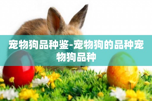 寵物狗品種鑒-寵物狗的品種寵物狗品種