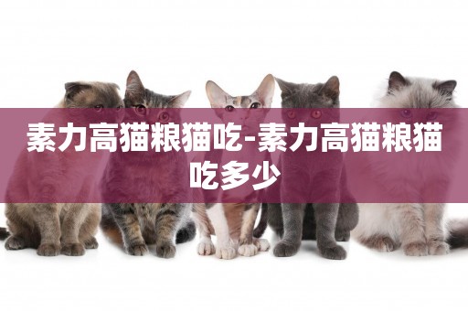 素力高貓糧貓吃-素力高貓糧貓吃多少