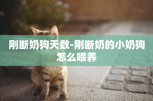 剛斷奶狗天數-剛斷奶的小奶狗怎么喂養