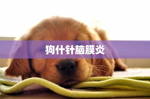 狗什針腦膜炎