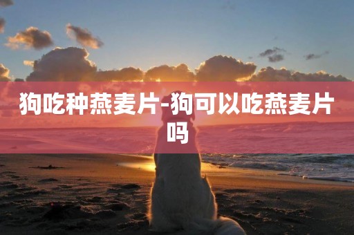 狗吃種燕麥片-狗可以吃燕麥片嗎