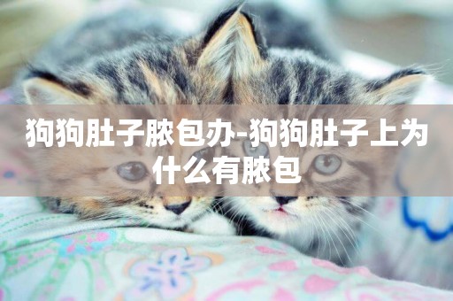 狗狗肚子膿包辦-狗狗肚子上為什么有膿包