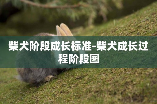 柴犬階段成長標準-柴犬成長過程階段圖