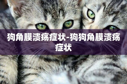 狗角膜潰瘍癥狀-狗狗角膜潰瘍癥狀