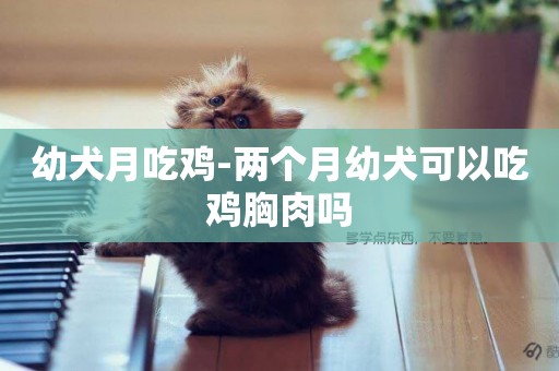 幼犬月吃雞-兩個月幼犬可以吃雞胸肉嗎