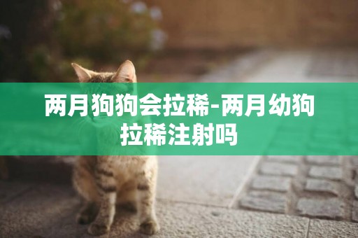 兩月狗狗會拉稀-兩月幼狗拉稀注射嗎
