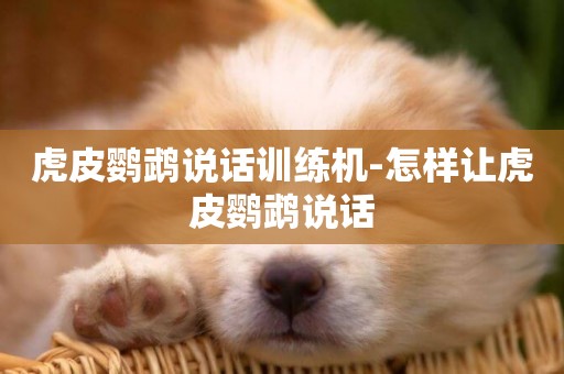 虎皮鸚鵡說話訓練機-怎樣讓虎皮鸚鵡說話